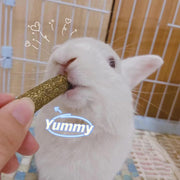 20 PCS Bunny Chew Toys for Teeth, Natural Rabbit Toys Apple Wood Grass Timothy Sticks Chew and Treat for Guinea Pigs Hamster Chinchillas