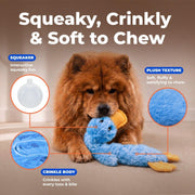 Best Pet Supplies Interactive Squeaky Dog Toy - Crinkle Duck, Blue | Stuffing Free Body, Soft, Squeaks & Crinkles, No Mess, Perfect for Moderate Chewers.