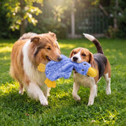 Best Pet Supplies Interactive Squeaky Dog Toy - Crinkle Duck, Blue | Stuffing Free Body, Soft, Squeaks & Crinkles, No Mess, Perfect for Moderate Chewers.