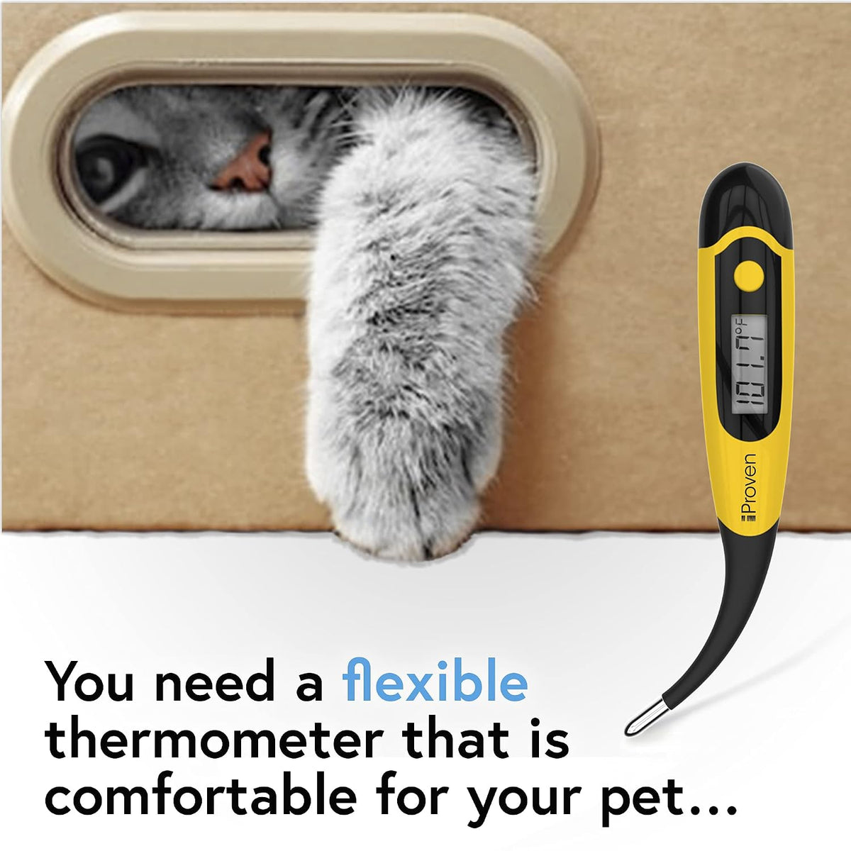 iProven Dog & Cat Thermometer for Fast and Accurate Fever Detection