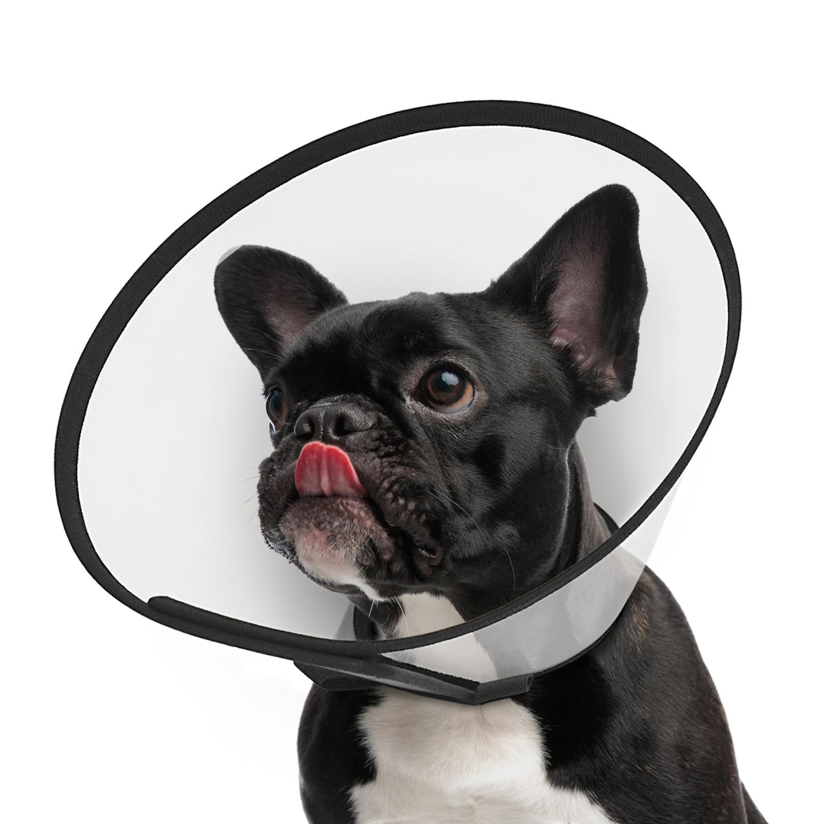 Supet Dog Cone Collar to Stop Licking, Comfortable Elizabeth Recovery Collar for Large Medium Dogs After Surgery, Soft Pet Neck Head Cone Alternative（L）