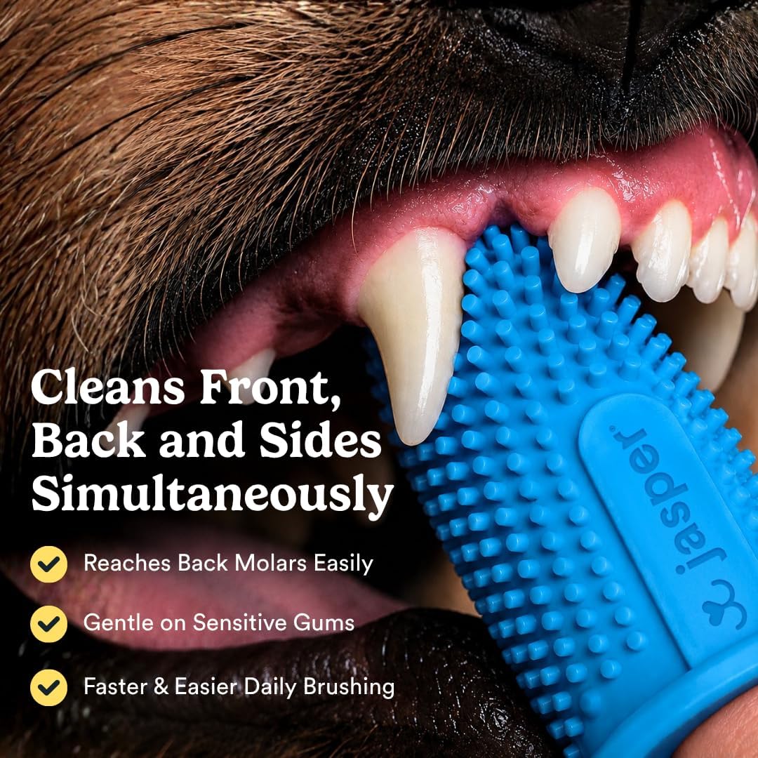 Jasper Dog Toothbrush, 360° Finger Toothbrush for Dogs & Cats, Blue 2-Pack