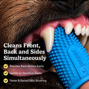 Jasper Dog Toothbrush, 360° Finger Toothbrush for Dogs & Cats, Blue 2-Pack